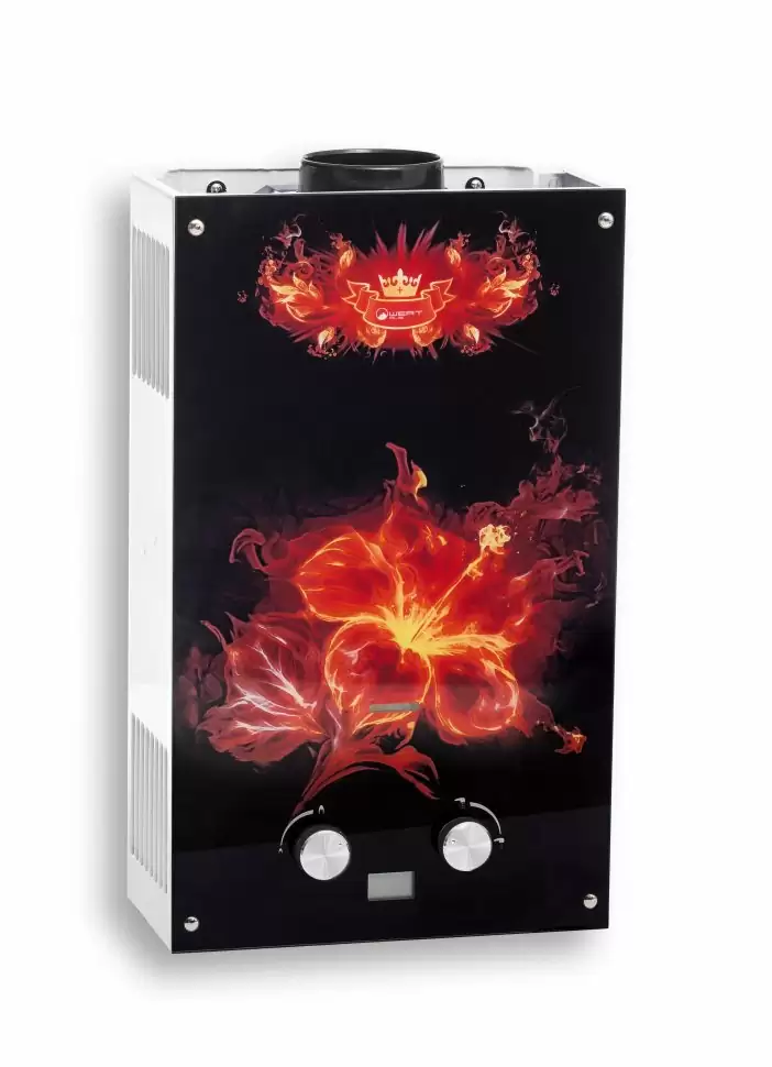 Газовый проточный водонагреватель WertRus 10EG Flower