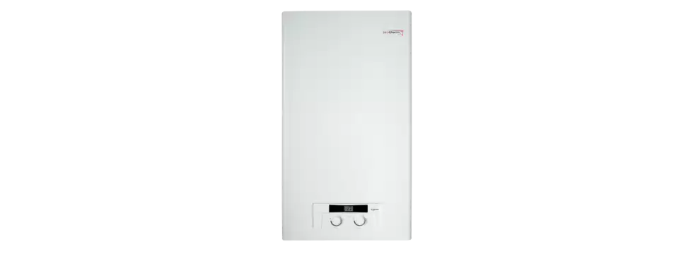 Настенный газовый котел Protherm Рысь НК 24